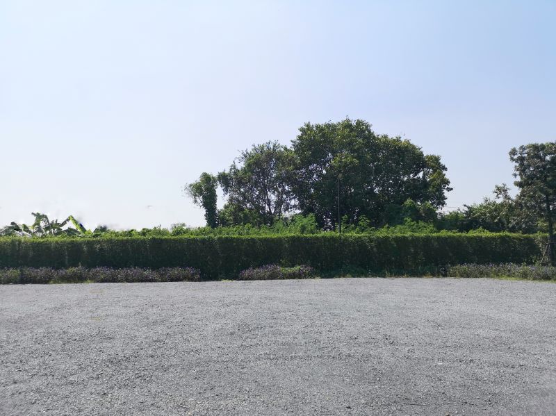 Parking Lot Land Clearing