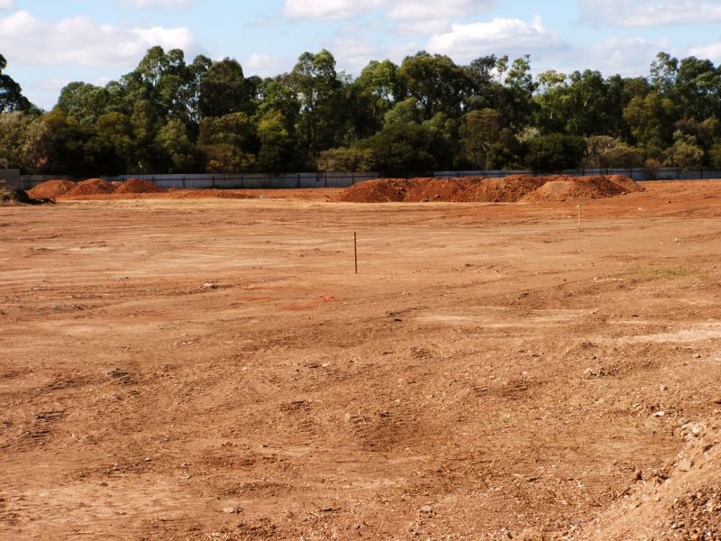 Acreage Clearing in Gwinnett County, GA