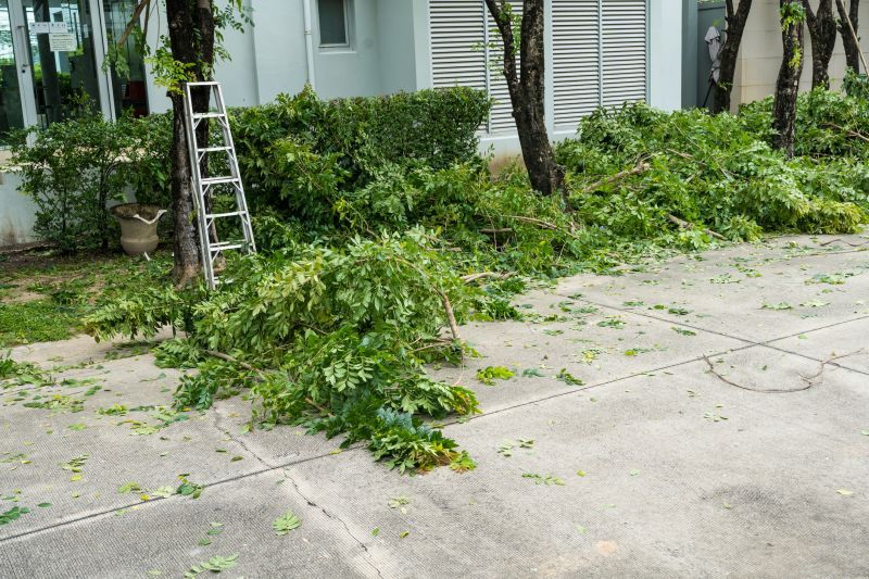 Dead Tree Removal in Allentown, PA