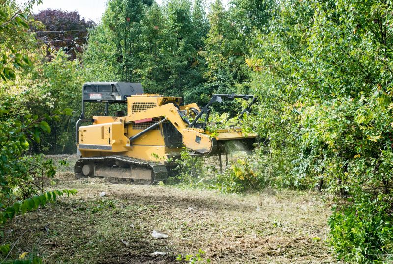 Field Clearing in Gwinnett County, GA
