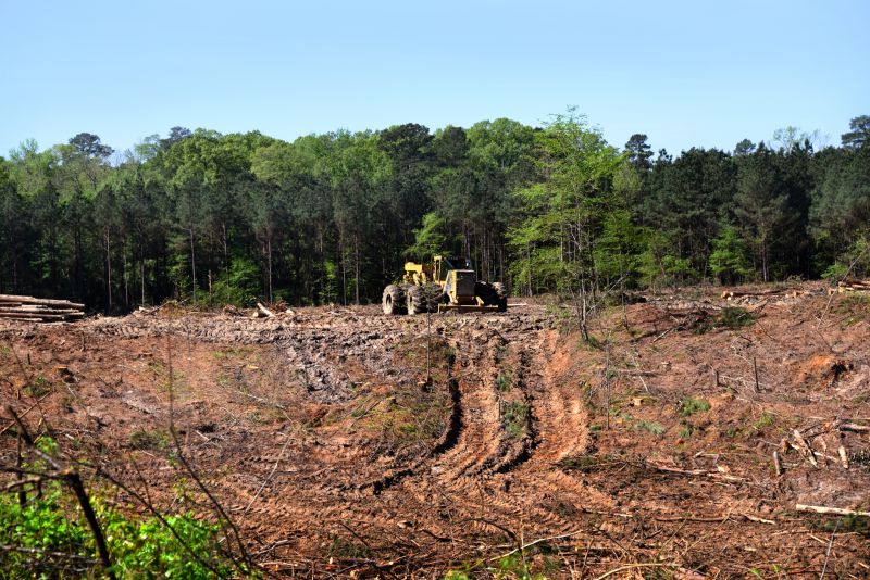 Pool Land Clearing in Cumming, GA