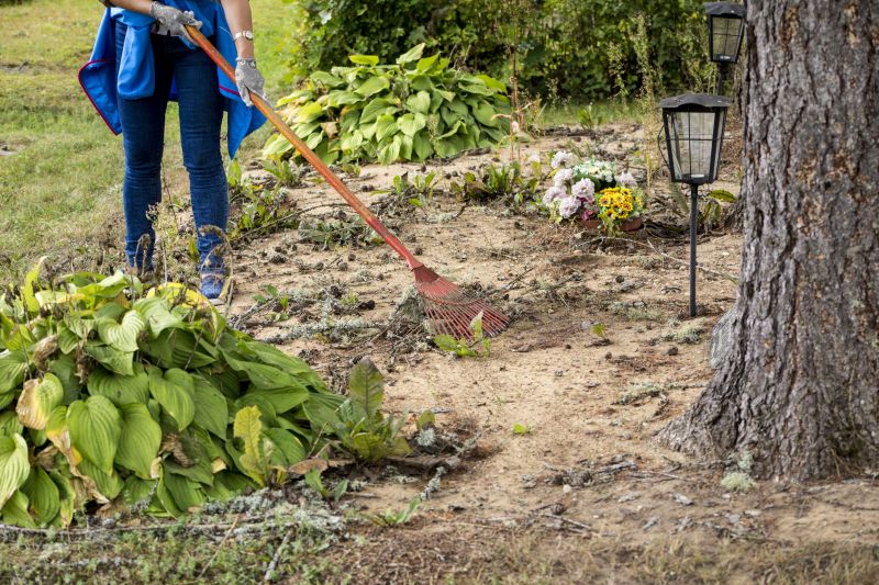 Site Cleaning in Marietta, GA