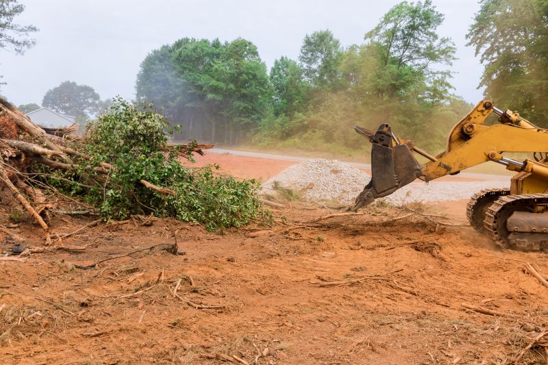 Site Clearing Service in Utah County, UT