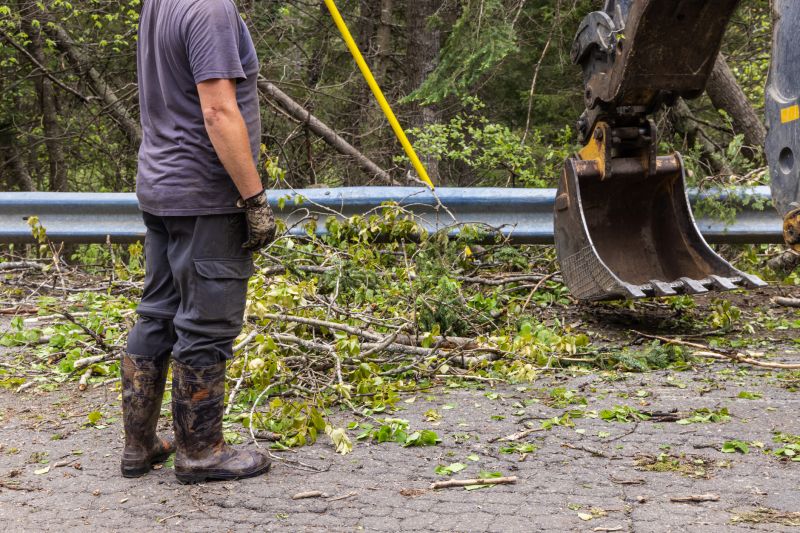 Site Clearing Service in Cumming, GA